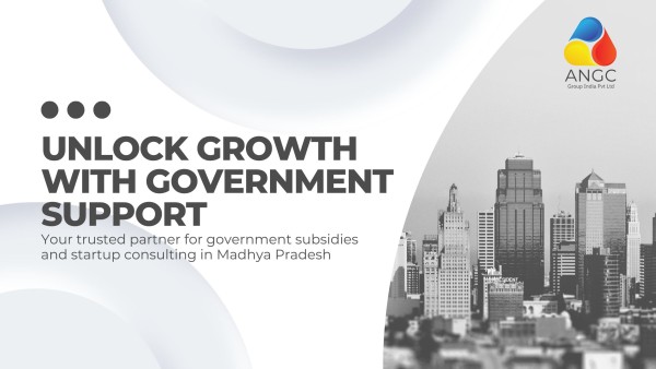 Unlock Growth with Government Support
