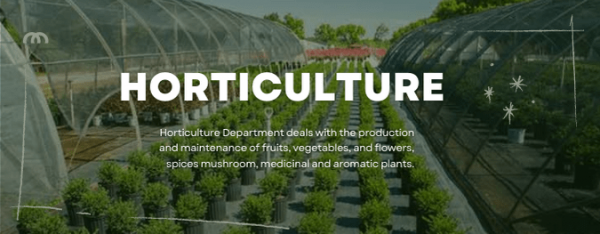 Horticulture